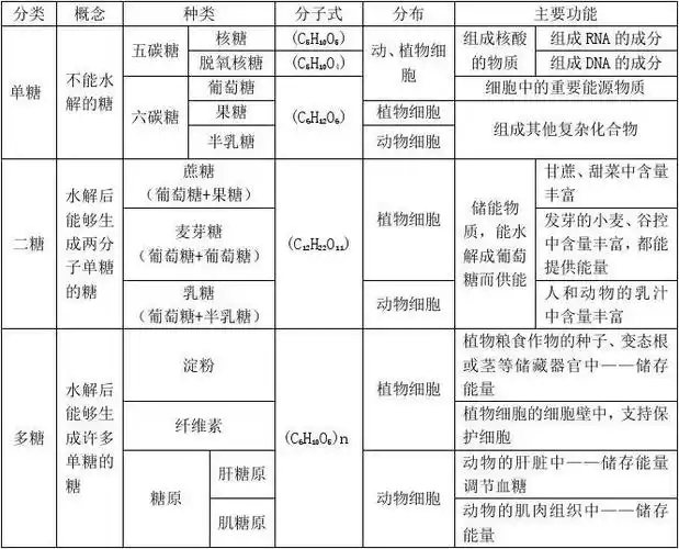 文档下载 所有分类 > 细胞中的糖类和脂质 知识点总结 第四节 细胞中
