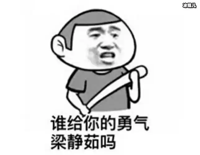 网友玩梁静茹勇气的梗被本尊回复场面非常搞笑
