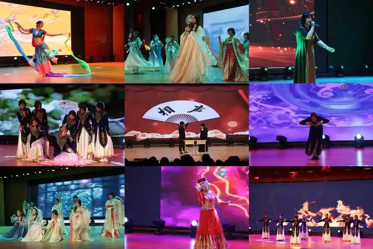 本次活动共有14个节目,包括舞蹈,歌曲,相声和心理情景剧.