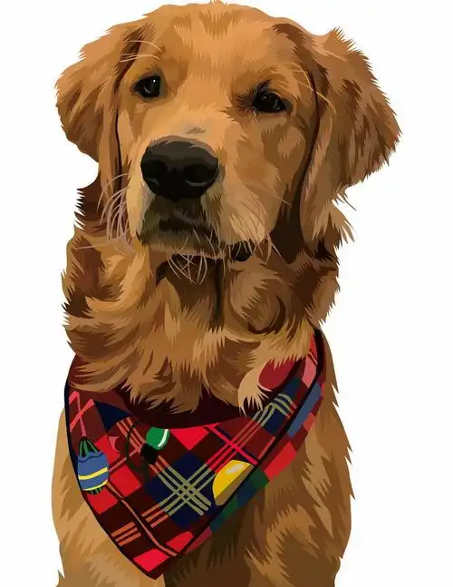 彩绘金毛犬宠物狗品种png图片免抠矢量素材