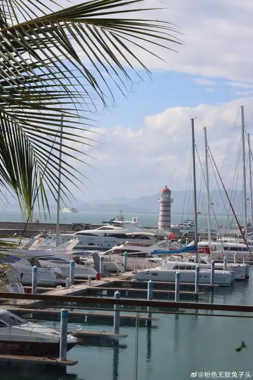 三亚帆船港 ##美丽三亚##旅游##旅行摄影