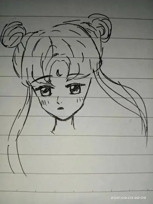 前几年看妈妈画过美少女战士突然想画了,记忆中大概是长这个样子的