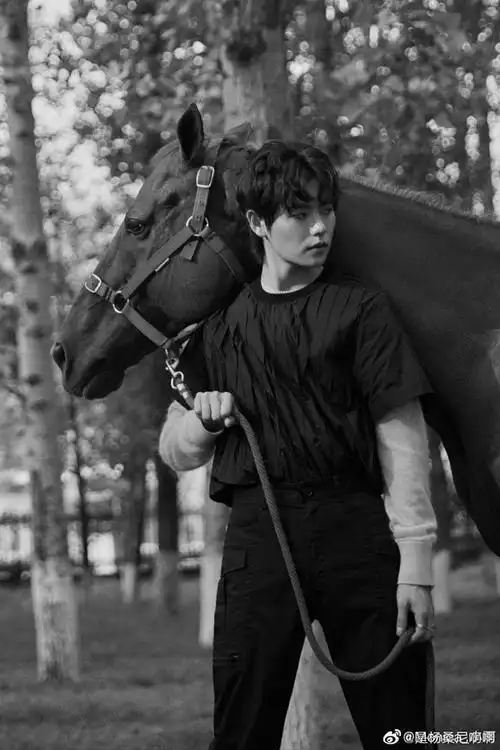 家人们求肖宇梁小哥美图