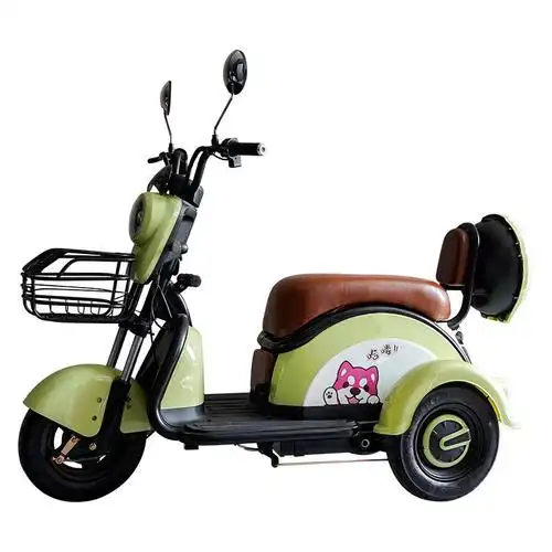 新国标电动三轮车 家用小型 电动三轮车 女士代步车 子接孩子电瓶车