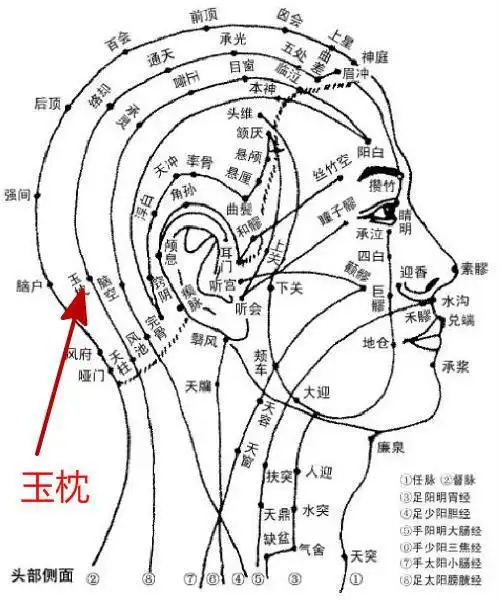 枕,头与枕接触之部位,言穴所在的位置也.