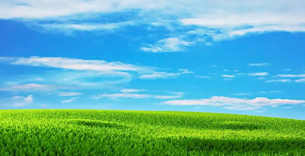 蓝天白云公园绿植风景图片免费下载 - 觅知网