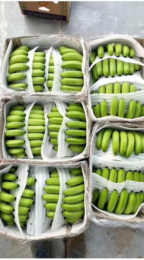 保鲜精选带箱10斤装 云南山地香蕉批整箱水果新鲜应季自然熟大香蕉非