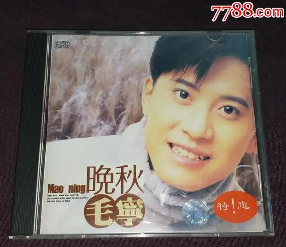 毛宁《晚秋》新时代影音天津天宝hk版cd