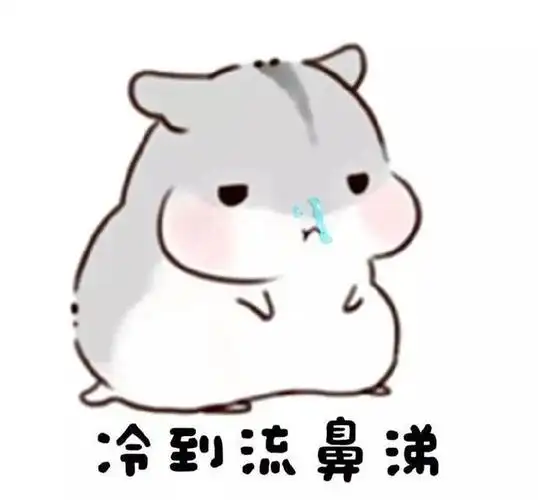 仓鼠表情包:冷到发抖了
