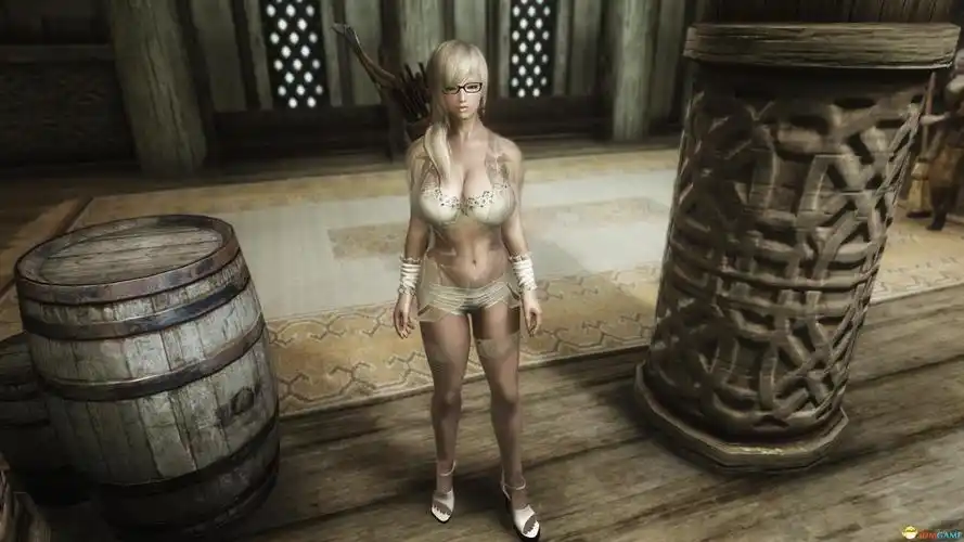 上古卷轴5群疗加魔法随从白发巨乳柔弱眼镜娘