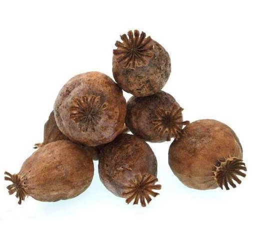 禁毒(一):关于鸦片,你知道多少?