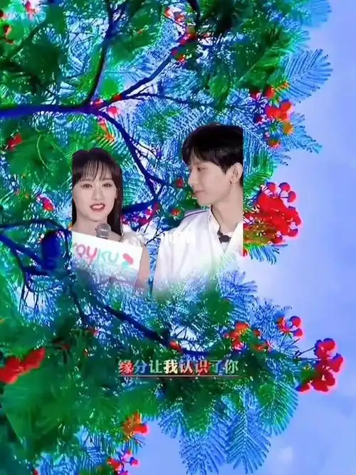 成毅袁冰妍缘分让我认识了你从此我就爱上了你