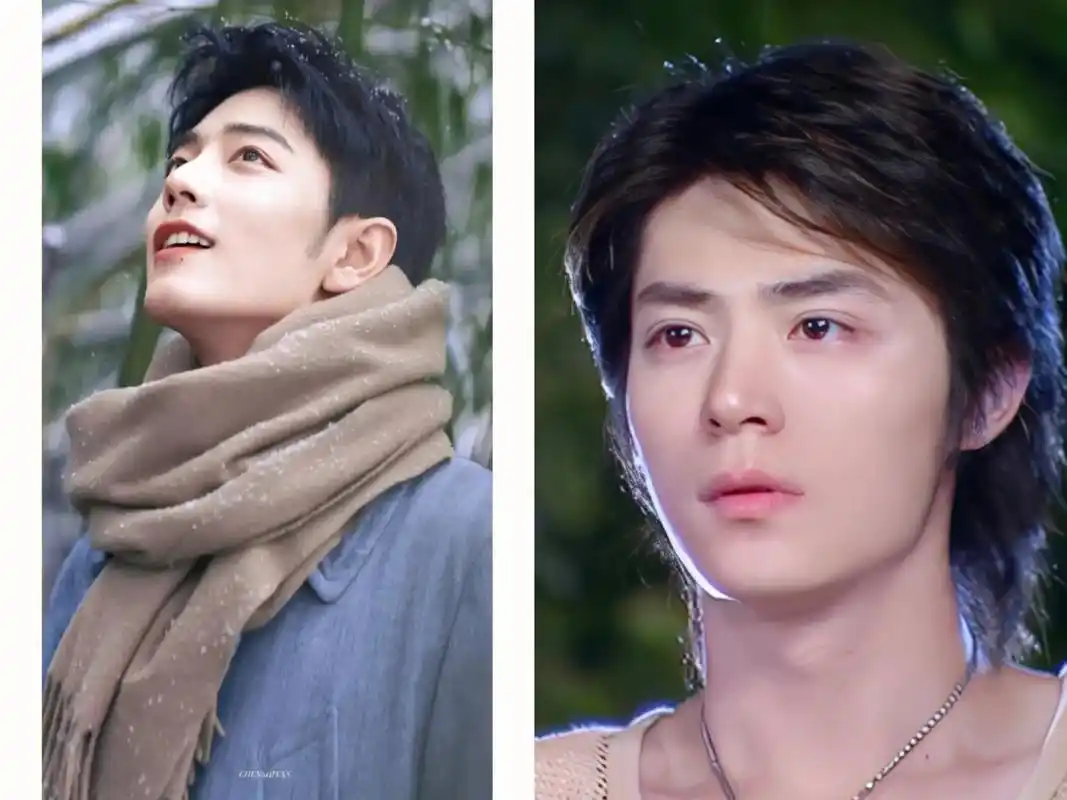 肖战能爆多少是有点"宛宛类卿"的幸运在里面的,他的长相和霍建华至少