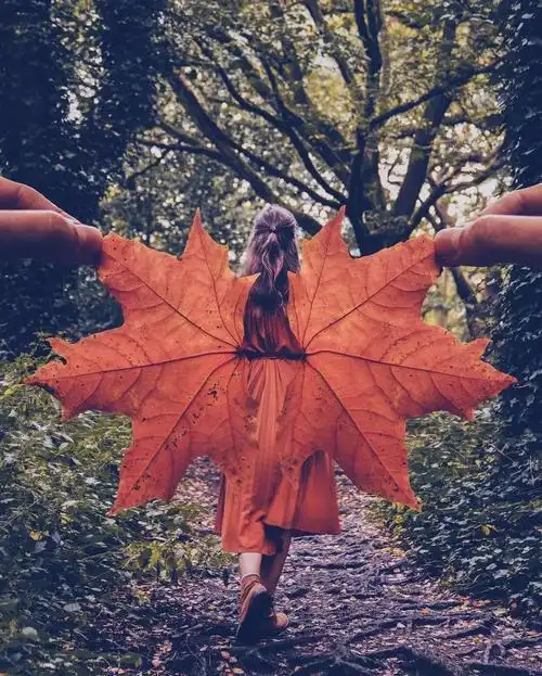 秋天落叶的5大创意拍法照片让人眼前一亮