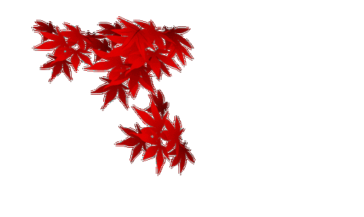 音画制作必备动图收集