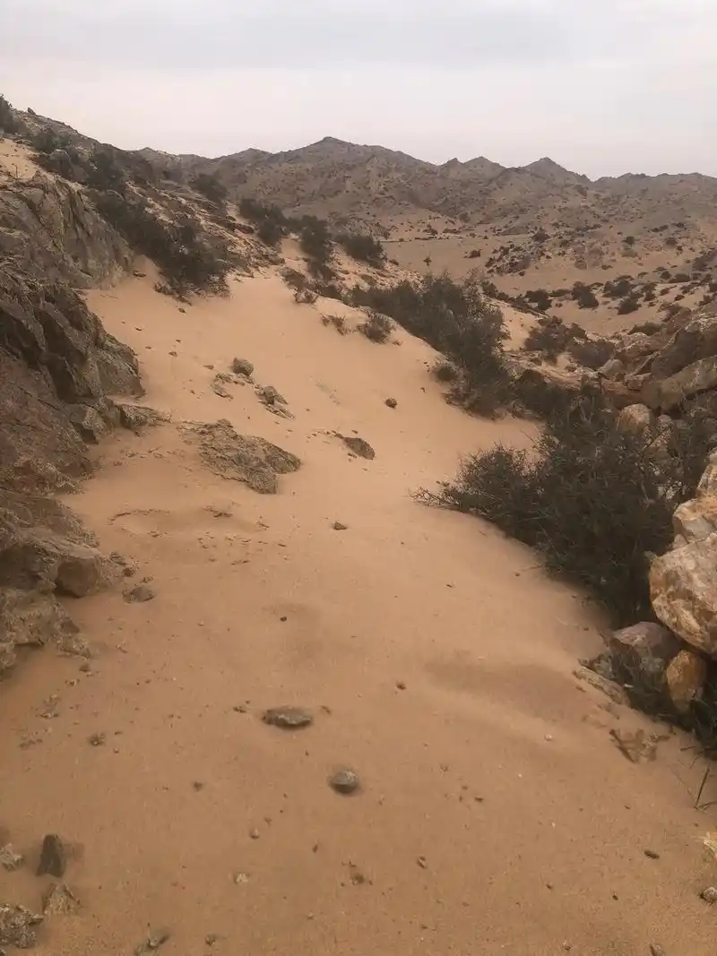 大西北 #穿越无人区 #内蒙古风景 - 抖音