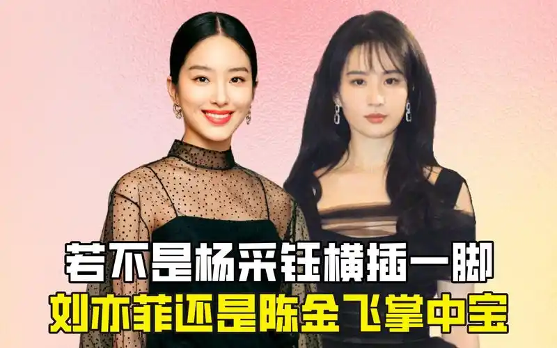 若不是杨采钰横插一脚,刘亦菲还是陈金飞掌中宝