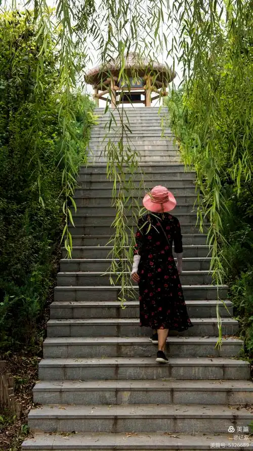 好奇台阶尽处的亭子,柳荫中留下漫步的背影.