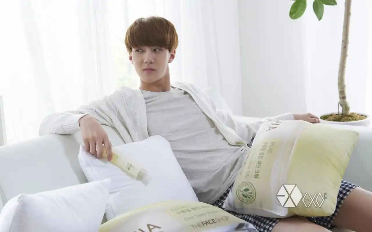 养眼帅哥exo吴世勋高清电脑桌面壁纸第一辑