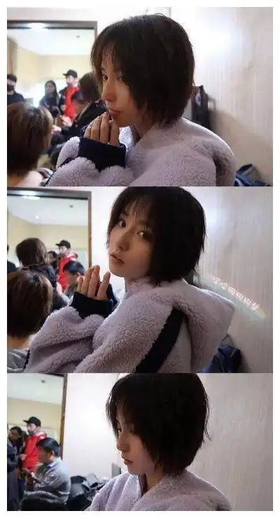 诸葛大力人气为何会一落千丈?