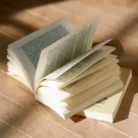 带书带阳光的头像_微信头像图片大全