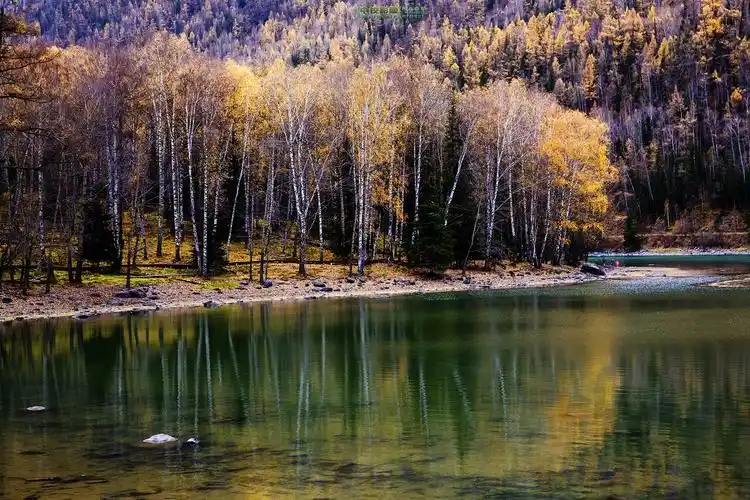 去北疆寻找中国最美秋天_风景_poco摄影,阿勒泰,易享假日时光并poco