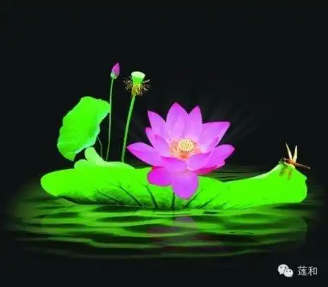 佛教莲花qq头像图片莲花佛字图片大全佛教图片禅意