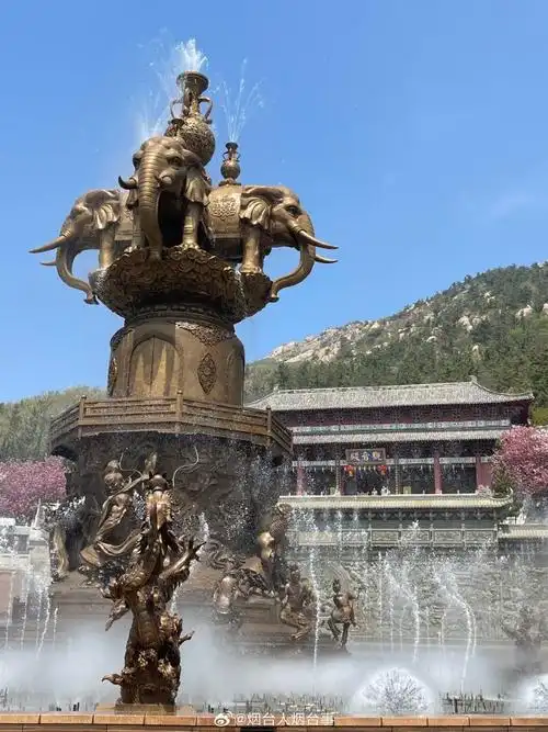 即日起至5月5日,赤山风景区盛邀您共赴一场绚烂的樱花盛宴!