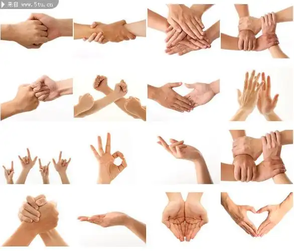 32张手势语图片