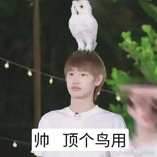 有没有into1成员有趣的表情包