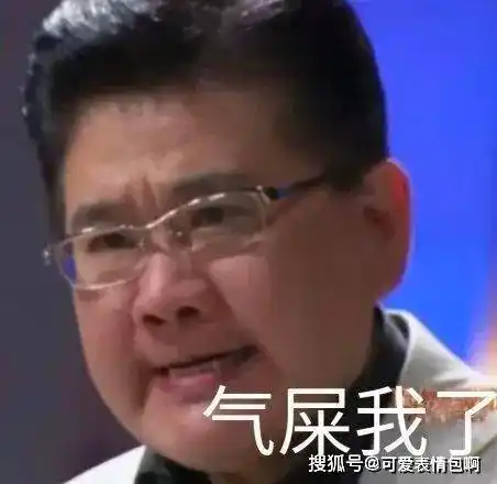 火爆全网|九转大肠之曹可凡表情包gif_公众_包包_微信