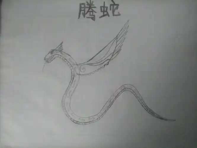 【绘画】腾蛇(同人自创魔物)