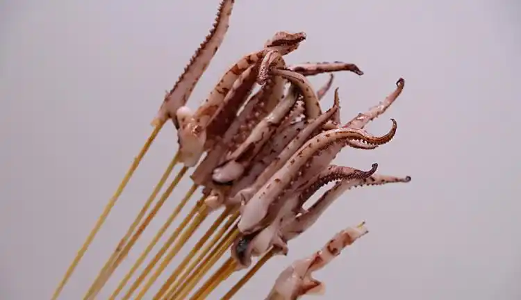 众兴辰8克鱿鱼须小串手把串夺命小串烧烤串铁板串油炸串100串/包