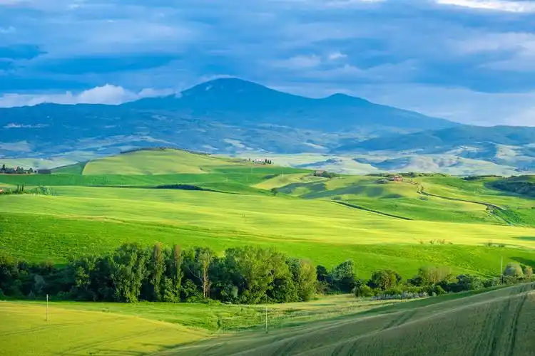 着拍照大雾清晨绿色草原草地草坪蓝天白云蓝天白云草地绿草一棵树大