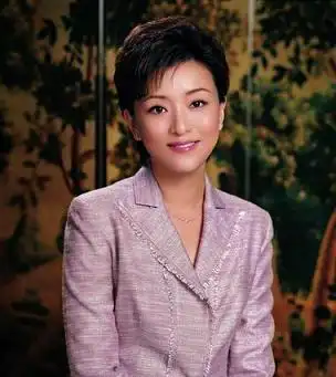 看央视名嘴为啥跳槽杨澜