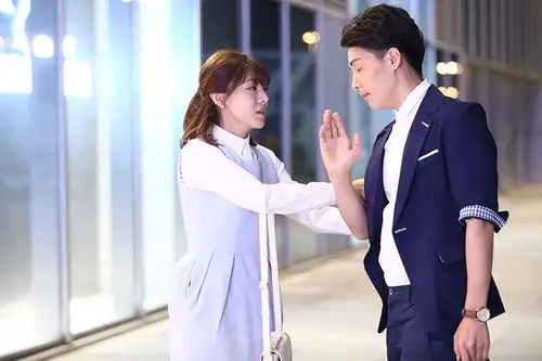 《缘来幸福》剧情简介以及唯美剧照