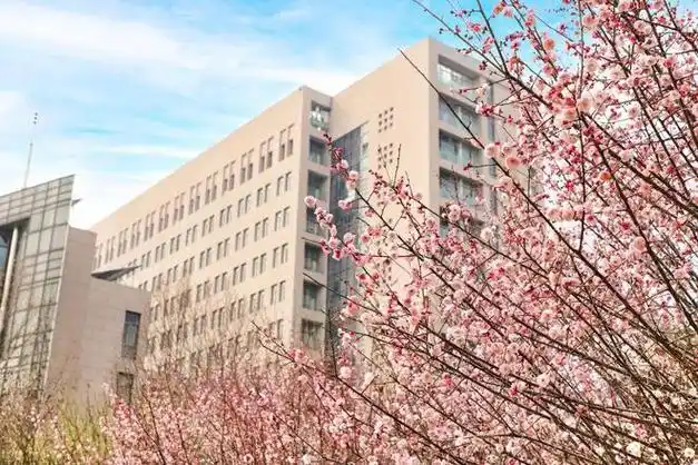 绝美一起打开河南高校的春天看看你的学校出镜了没