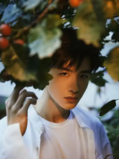 白敬亭永远的神