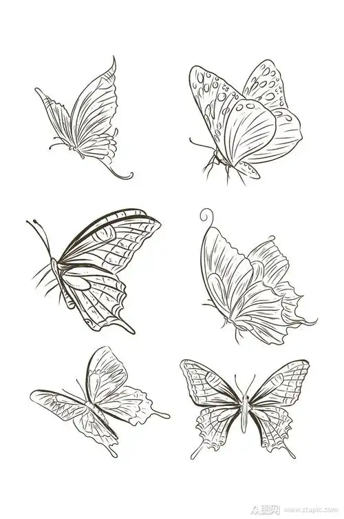 唯美黑白的蝴蝶插画