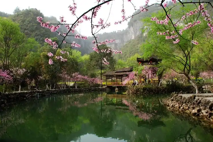 桃花源让我们重逢在那个桃花掩映的春天