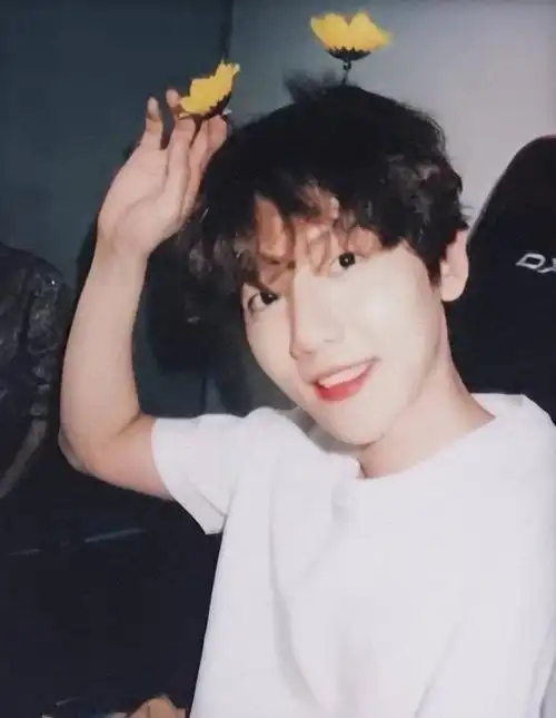 今日心动男嘉宾边伯贤