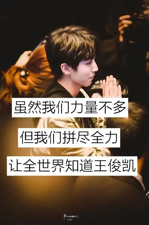 一起做公益一起应援!感谢7815 - 王俊凯的静宝(艺宝)97的快手