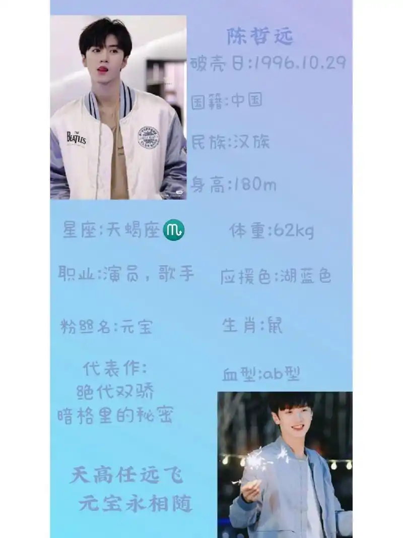 陈哲远个人资料