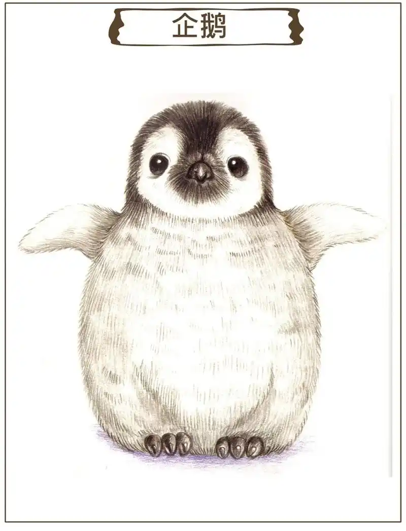 简单易学,彩铅可爱的小动物,请收藏好!