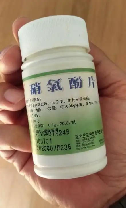 一小区八只狗同时去世如何预防新型毒狗药硝氯酚中毒如何急救