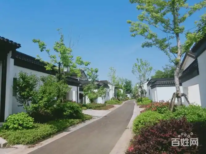 西山岛居中式别墅 业主急于变现 市值1200万 现700万 - 苏州吴中西山