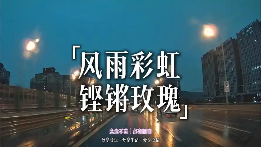 念念不忘 必有回响丨今日分享歌曲田震《风雨彩虹铿锵玫瑰》