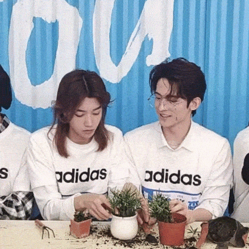 青你变成造糖机器,能用魔法打败魔法的,就是兄弟间的双向奔赴吧