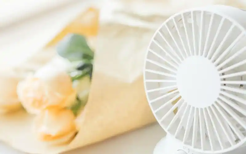 小清新静物摄影唯美高清桌面壁纸图片下载