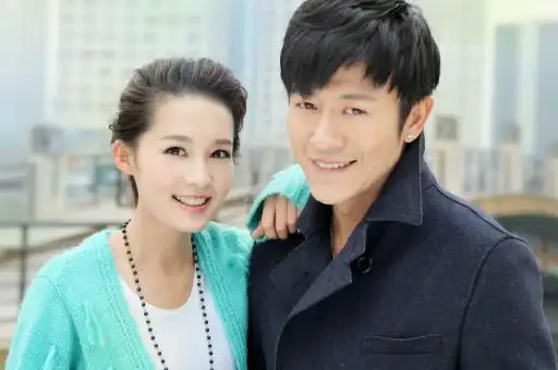 "我是卧底,疑犯口中的二五仔"林申,不一样的卧底,你会喜欢